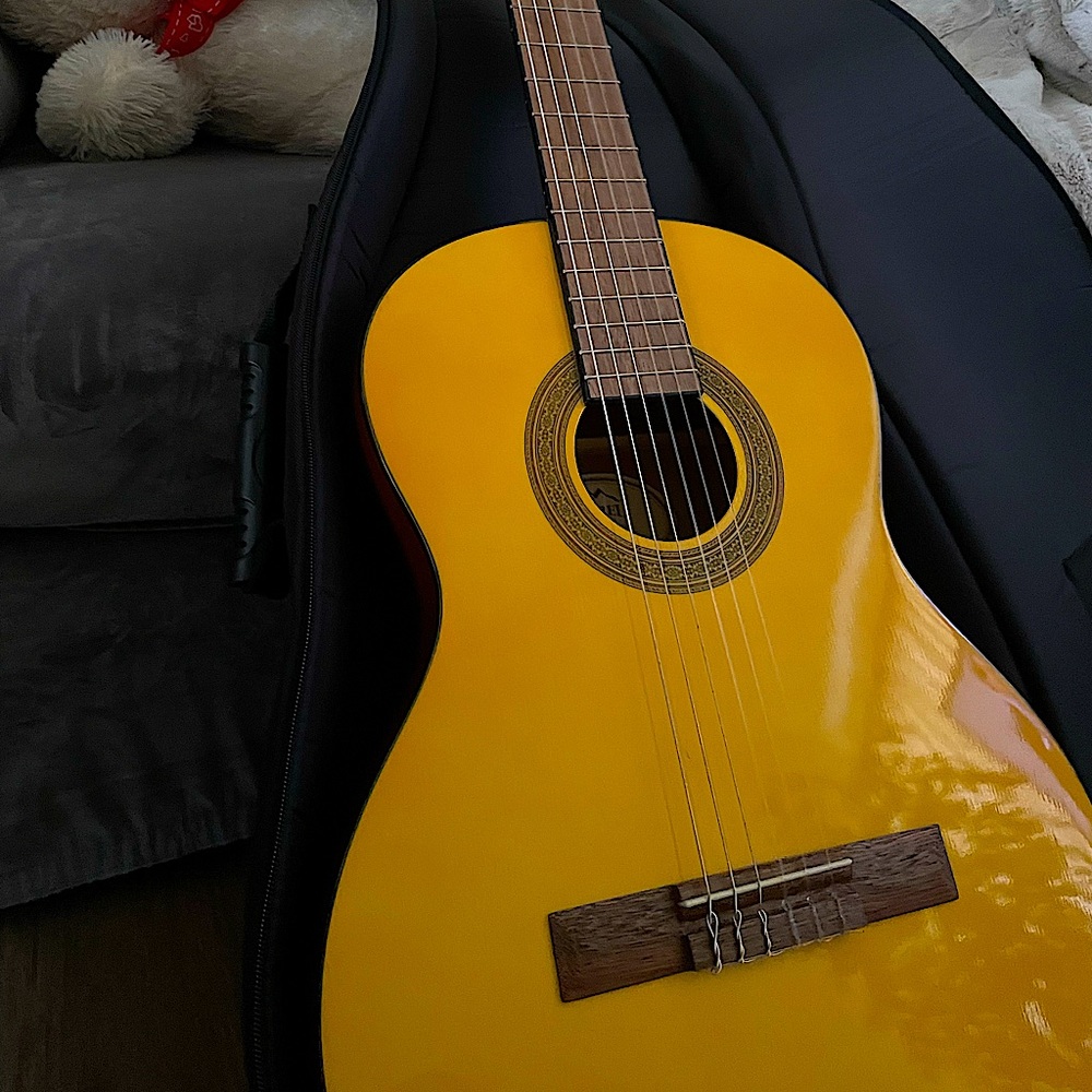 Laurel Canyon LN-100 Guitar